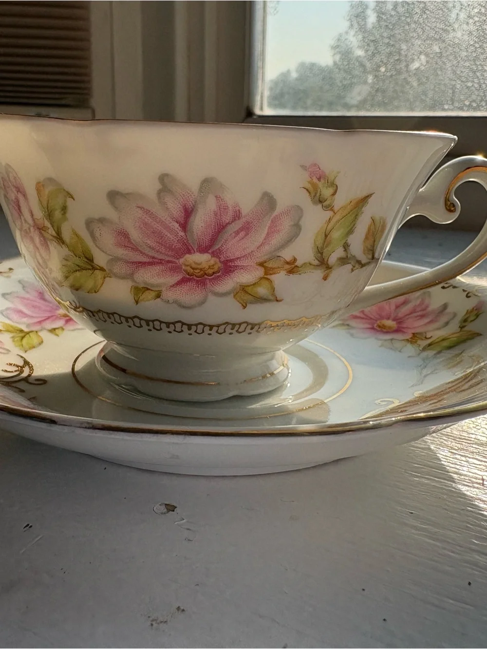 Vintage Floral Porcelain Teacup and Saucer - Pink